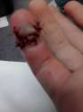 IMG_20130831_150337.jpg