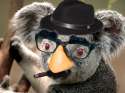 Koala.png