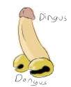 dongusdingus.jpg