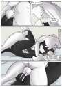 Rebound014.jpg