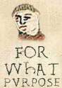 tmp_11577-For_what_purpose1990380773.jpg