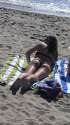 2 Venice Beach 2014 Black ThongsZOE_2628_2_1.jpg