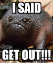 i-said-get-out[1].png