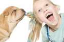 biting_2969434.jpg
