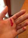 IMG-20140726-WA0003.jpg