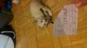 ^1CAC3ABE1AE377CE8F8038B16C686040C86AC9F2FB1D2E77D6^pimgpsh_fullsize_distr.jpg