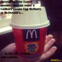 cadbury_mcflurry.jpg