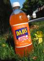image_dads_orangecreamsoda1.jpg