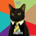 business-cat-meme-generator-tits-or-gtfo-316c6b.jpg