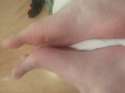 20160311_030750.jpg