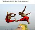 Shaolin-Kung-Fu-11.jpg