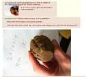 tumblr_m6limk5RiL1qzozj1.png