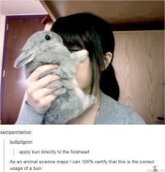 bun.jpg