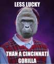 badluckgorilla.png