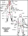 pressure points.jpg
