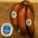 red bananas.jpg