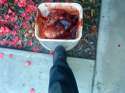 DSC00214.jpg