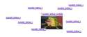 606dd8af9707432396db70a05763bca3.png