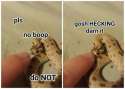 tumblr_o5hh6gPNGn1rwewyjo1_540.jpg