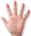 hand_pic.jpg