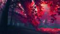 ruby forest.jpg