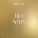 thinwalls-packshot.jpg