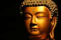 595053-golden-buddha.jpg