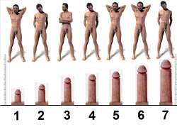 size comparison.png