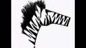 zebra.jpg