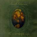 tmp_21834-It's_a_Wonderful_Life_(Sparklehorse_album_cover)1121361431.jpg