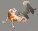 starlott_by_zaush_U18chan.jpg