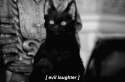 n8Tr24O.gif