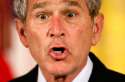 gwb010.jpg
