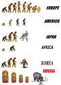 Evolution (2).jpg