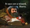 harrywizard.jpg