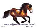 markerhorse2.jpg