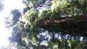 20160530_133904.jpg