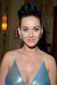 katy-perry-sony-music-entertainment-post-grammy-reception-january-2014_3.jpg