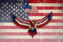 15587295-Usa-flag-with-eagle-with-grunge-effect-Stock-Vector-american.jpg