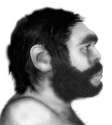 neanderthal.jpg