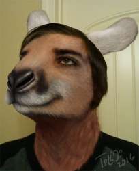 1464663981.out-of-the-boks_ryan_kangaroo_02_copy_sm.png