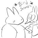 sum birb.jpg
