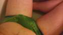 IMAG0540.jpg