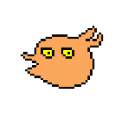 birb.png