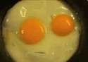 eggs.gif