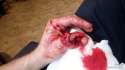 thumb-crush-during-refrigerator-transportation-01-840x473.jpg