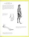 dixon1990_man_page_0039.jpg
