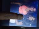 DSCN0603.jpg