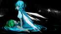 CirnoXDaiyousei05.jpg
