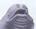 aquamorph.png